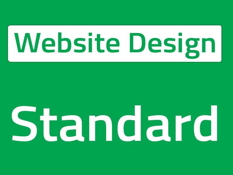 استانداردهای طراحی وب سایت چیست؟